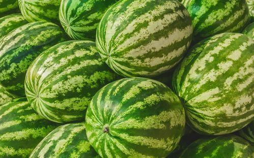 娱乐吃瓜素材在哪找,海量吃瓜素材，一网打尽！